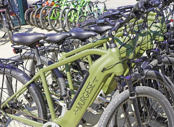 Vélos verts Murgese alignés, prêts à l'emploi.