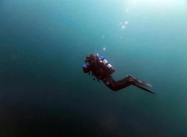 Duiker verkent oceaandiepte, omringd door blauw water.